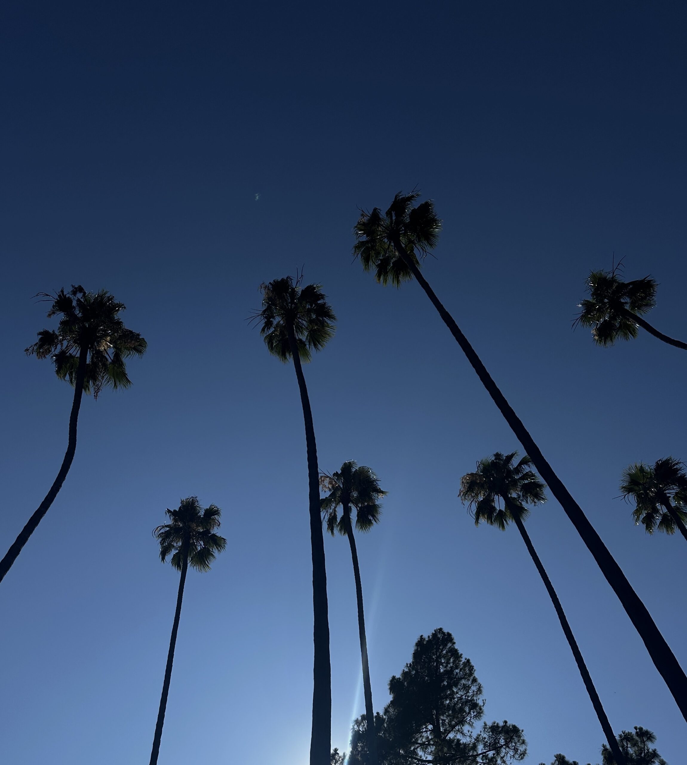 Our Wardrobe: The Ultimate Performance